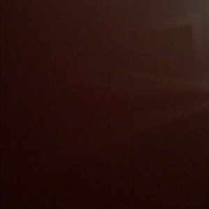 Meet your Posher, Shaylyn